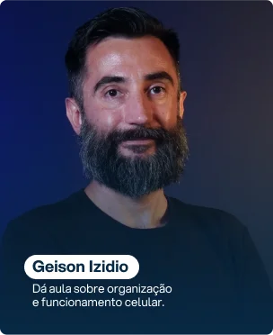 Geison