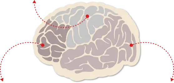 Ilustração de um cérebro